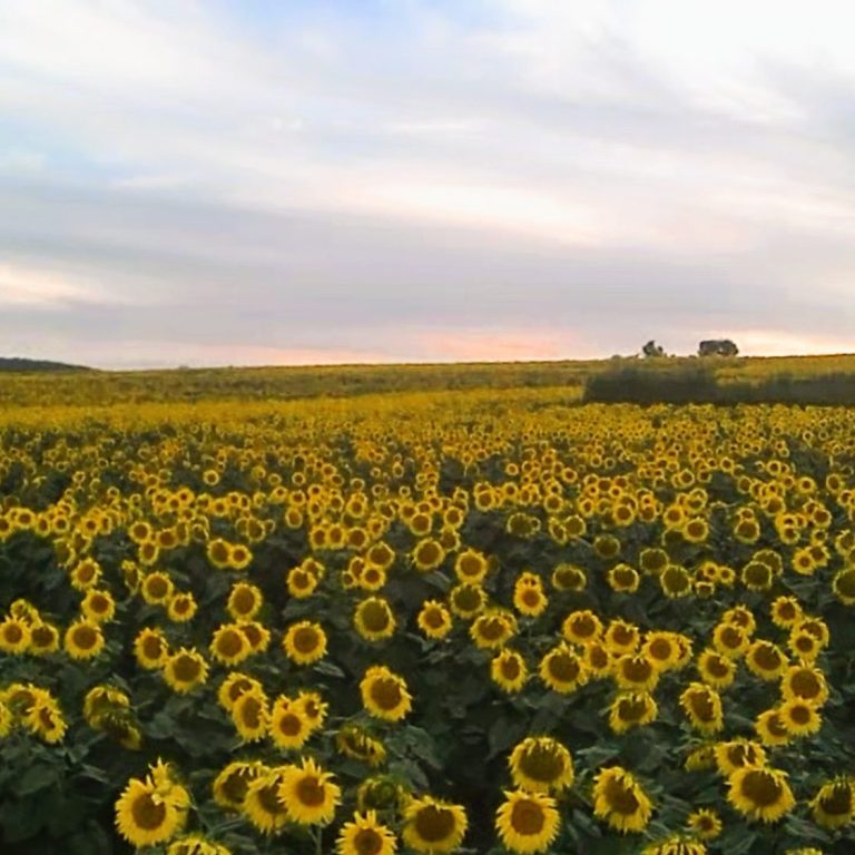 gite rural bourgogne